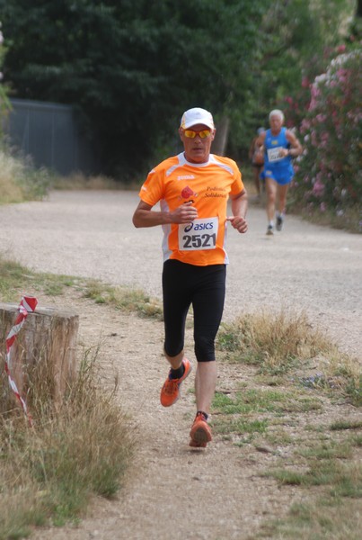 Solstizio d'estate ( C.E.)  (14/06/2015) 00026