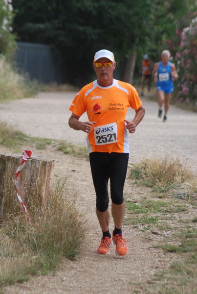 Solstizio d'estate ( C.E.)  (14/06/2015) 00027
