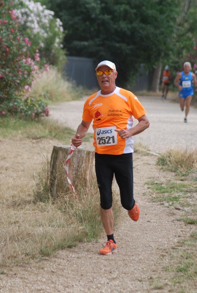 Solstizio d'estate ( C.E.)  (14/06/2015) 00028