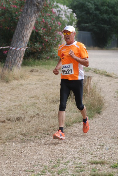Solstizio d'estate ( C.E.)  (14/06/2015) 00029