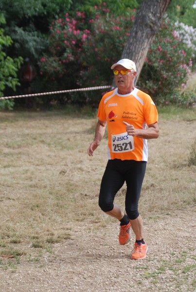Solstizio d'estate ( C.E.)  (14/06/2015) 00030