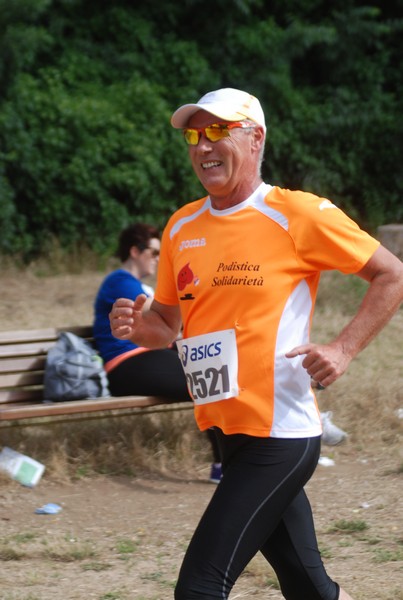 Solstizio d'estate ( C.E.)  (14/06/2015) 00032