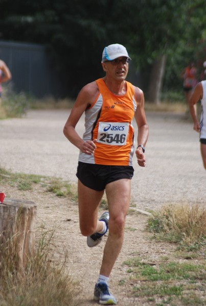Solstizio d'estate ( C.E.)  (14/06/2015) 00036