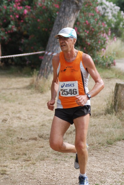 Solstizio d'estate ( C.E.)  (14/06/2015) 00040