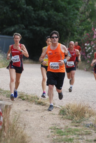 Solstizio d'estate ( C.E.)  (14/06/2015) 00042
