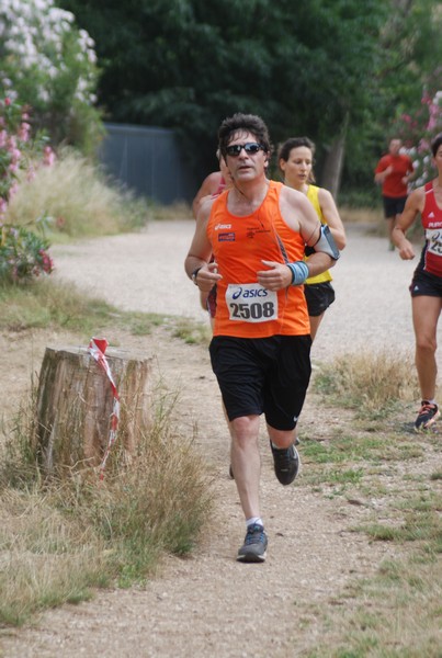 Solstizio d'estate ( C.E.)  (14/06/2015) 00046