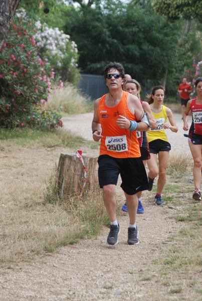 Solstizio d'estate ( C.E.)  (14/06/2015) 00047