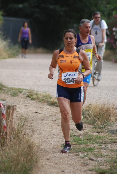 Solstizio d'estate ( C.E.)  (14/06/2015) 00052