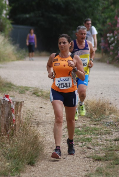 Solstizio d'estate ( C.E.)  (14/06/2015) 00053