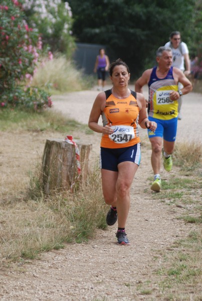 Solstizio d'estate ( C.E.)  (14/06/2015) 00054