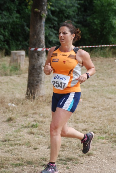 Solstizio d'estate ( C.E.)  (14/06/2015) 00058