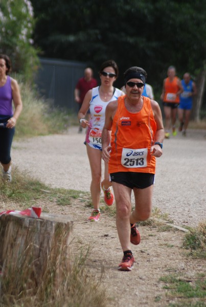Solstizio d'estate ( C.E.)  (14/06/2015) 00059