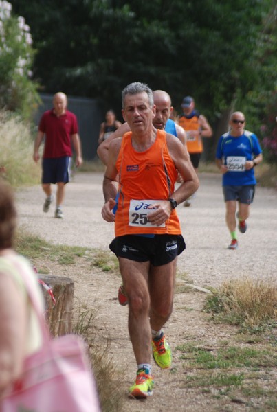Solstizio d'estate ( C.E.)  (14/06/2015) 00069