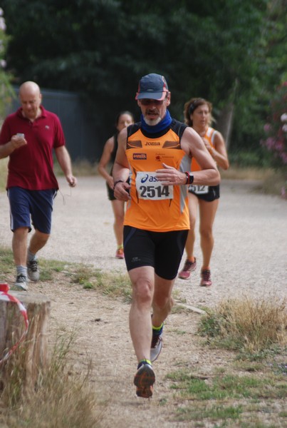 Solstizio d'estate ( C.E.)  (14/06/2015) 00076