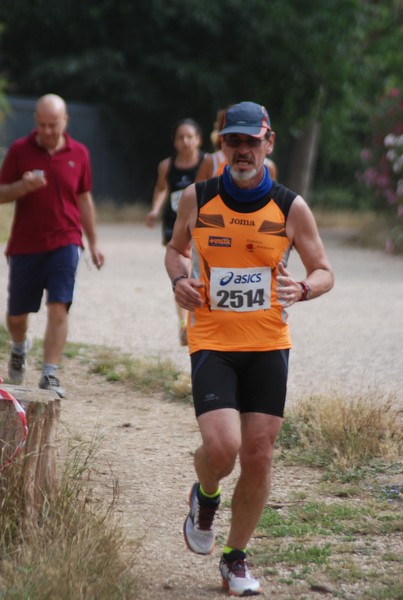 Solstizio d'estate ( C.E.)  (14/06/2015) 00077
