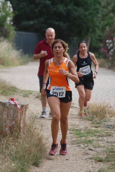 Solstizio d'estate ( C.E.)  (14/06/2015) 00082