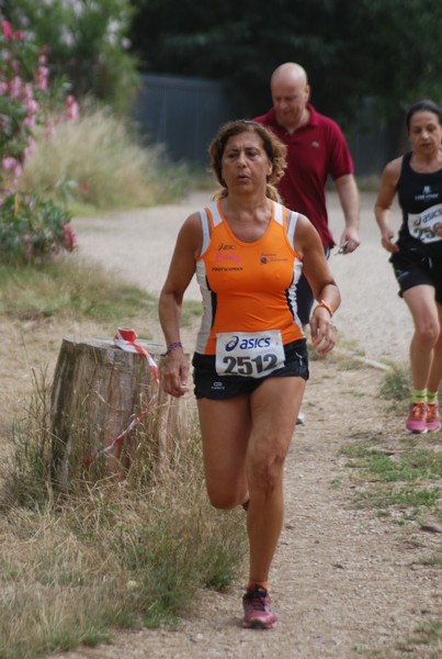 Solstizio d'estate ( C.E.)  (14/06/2015) 00083