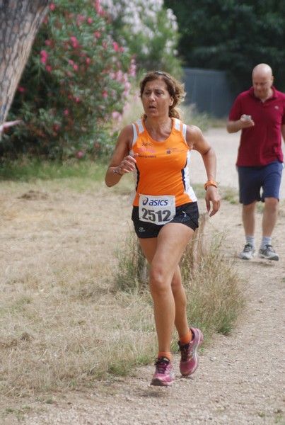 Solstizio d'estate ( C.E.)  (14/06/2015) 00084
