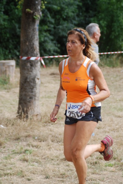 Solstizio d'estate ( C.E.)  (14/06/2015) 00087