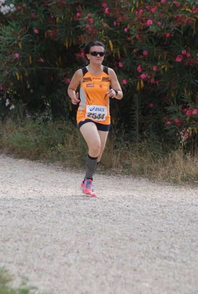 Solstizio d'estate ( C.E.)  (14/06/2015) 00089