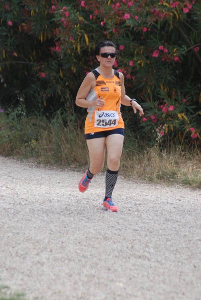 Solstizio d'estate ( C.E.)  (14/06/2015) 00090