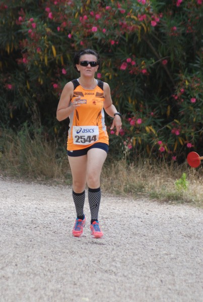Solstizio d'estate ( C.E.)  (14/06/2015) 00091