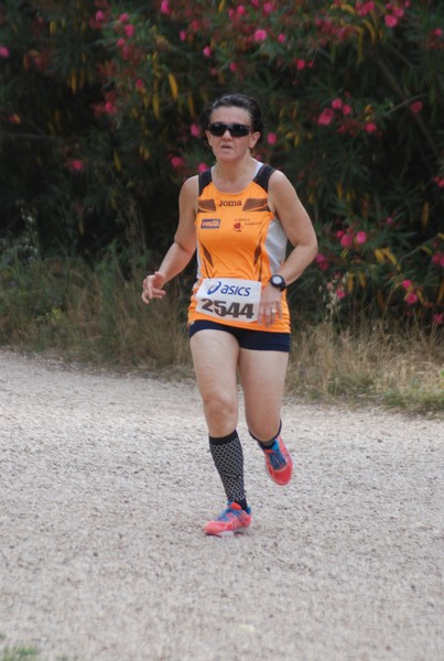 Solstizio d'estate ( C.E.)  (14/06/2015) 00092