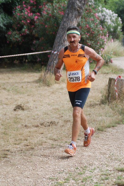 Solstizio d'estate ( C.E.)  (14/06/2015) 00099