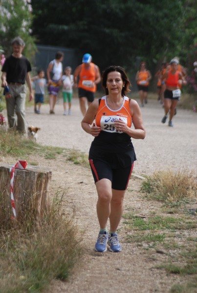 Solstizio d'estate ( C.E.)  (14/06/2015) 00103