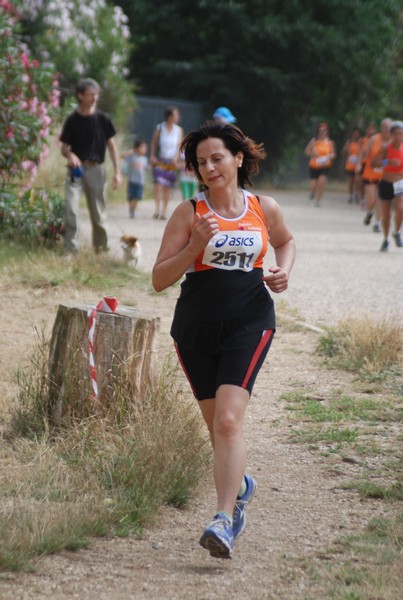 Solstizio d'estate ( C.E.)  (14/06/2015) 00105
