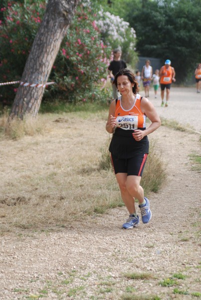 Solstizio d'estate ( C.E.)  (14/06/2015) 00106
