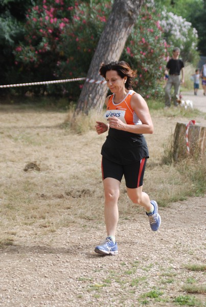 Solstizio d'estate ( C.E.)  (14/06/2015) 00107