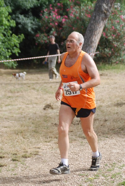 Solstizio d'estate ( C.E.)  (14/06/2015) 00112