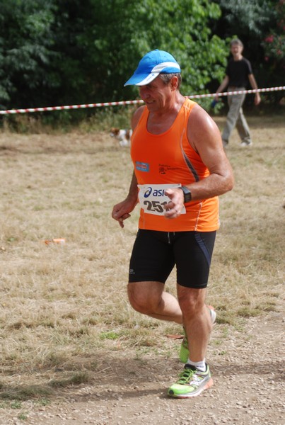 Solstizio d'estate ( C.E.)  (14/06/2015) 00114