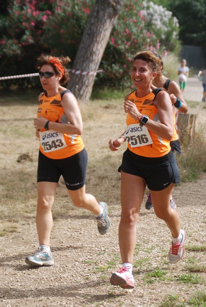 Solstizio d'estate ( C.E.)  (14/06/2015) 00121