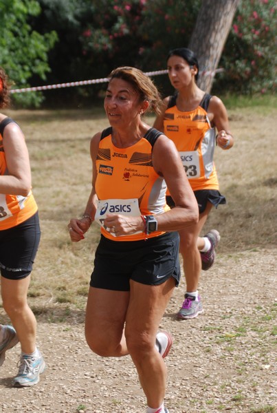 Solstizio d'estate ( C.E.)  (14/06/2015) 00122