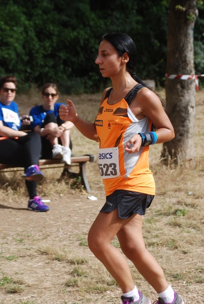 Solstizio d'estate ( C.E.)  (14/06/2015) 00124