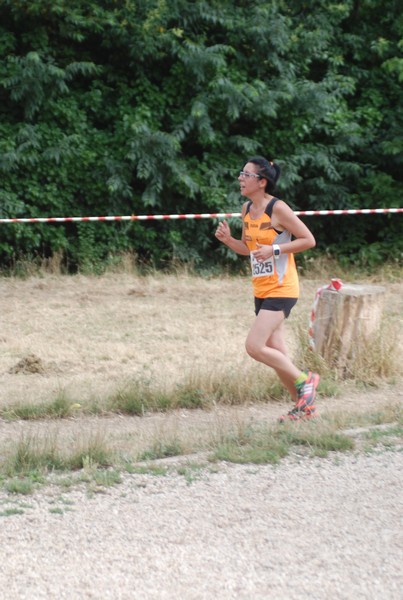 Solstizio d'estate ( C.E.)  (14/06/2015) 00125