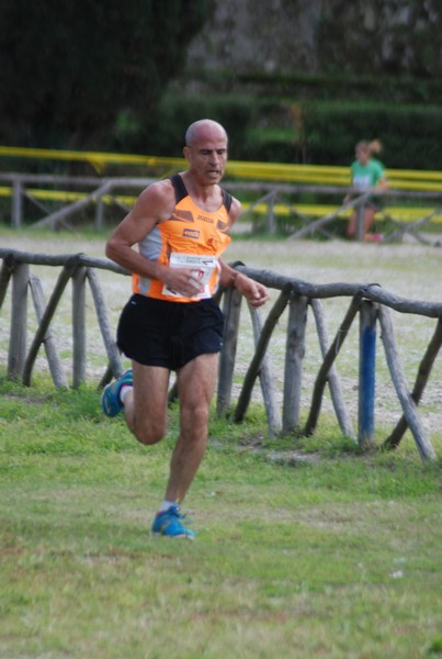 Maratona di Roma a Staffetta (17/10/2015) 00005