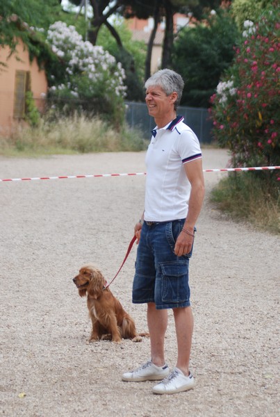 Solstizio d'estate ( C.E.)  (14/06/2015) 00046
