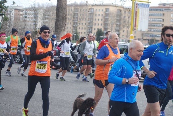 La Corsa di Miguel (25/01/2015) 00202