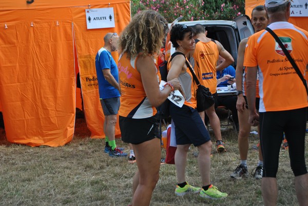 Solstizio d'estate ( C.E.)  (14/06/2015) 00014