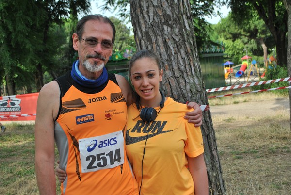 Solstizio d'estate ( C.E.)  (14/06/2015) 00028