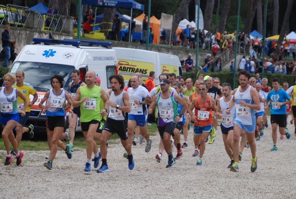 Maratona di Roma a Staffetta (17/10/2015) 00031