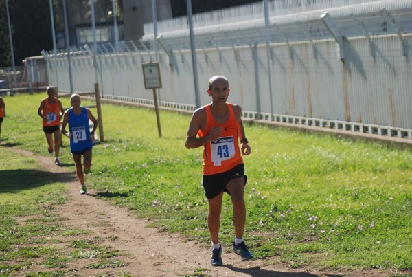 Trofeo Podistica Solidarietà (27/09/2015) 00037