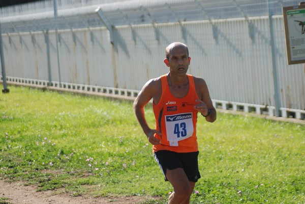 Trofeo Podistica Solidarietà (27/09/2015) 00038
