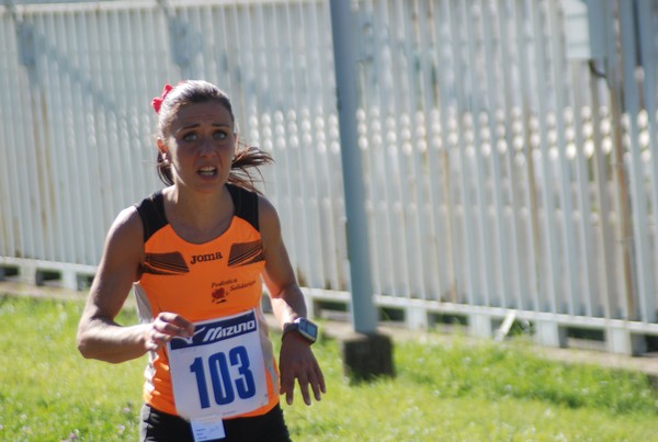 Trofeo Podistica Solidarietà (27/09/2015) 00043