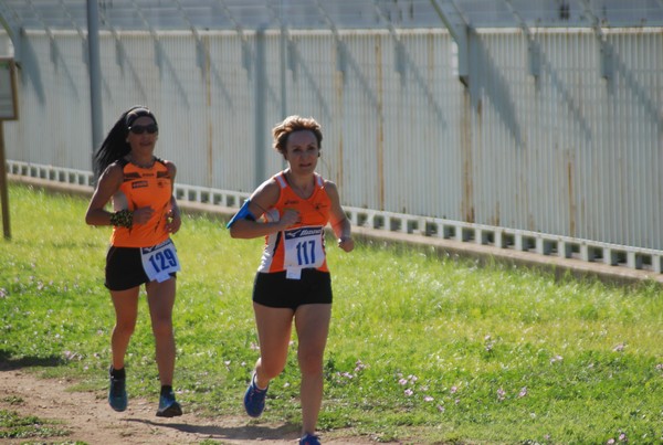 Trofeo Podistica Solidarietà (27/09/2015) 00073