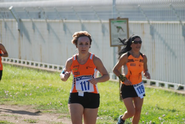 Trofeo Podistica Solidarietà (27/09/2015) 00075
