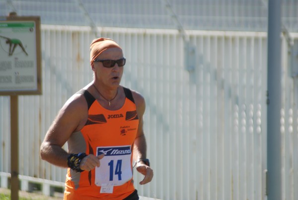 Trofeo Podistica Solidarietà (27/09/2015) 00081